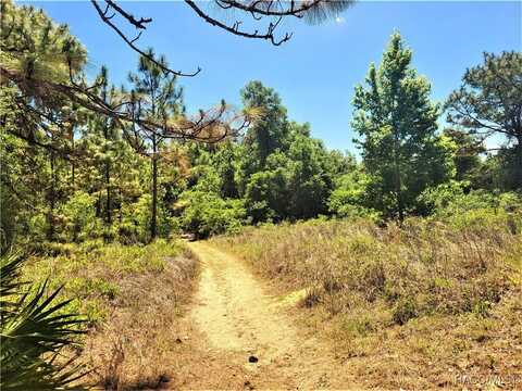 5089-5245 N Tanglewood Avenue, Hernando, FL 34442