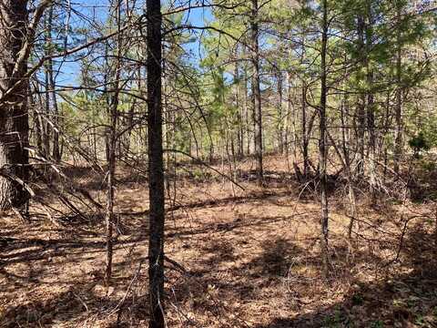 Tbd W Vermillion RD, Paradise, MI 49768