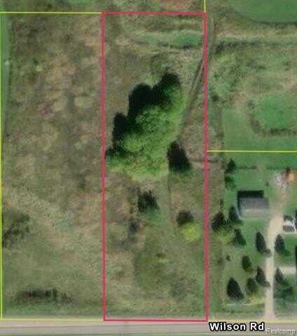 VL E Wilson Road, Clio, MI 48420
