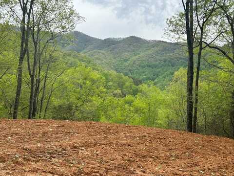 Lot 8 Blackberry Bend, Bryson City, NC 28713