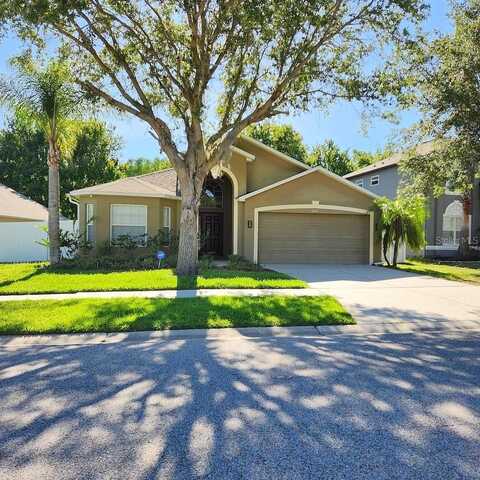 Dunstable, LAND O LAKES, FL 34638