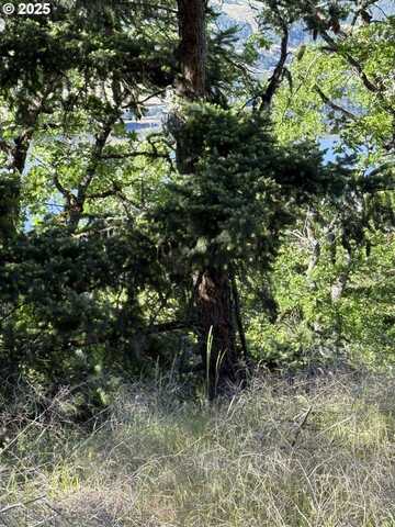 Coyote CT, Mosier, OR 97040