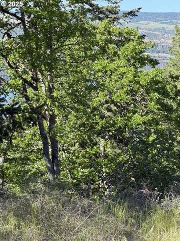 Coyote CT, Mosier, OR 97040