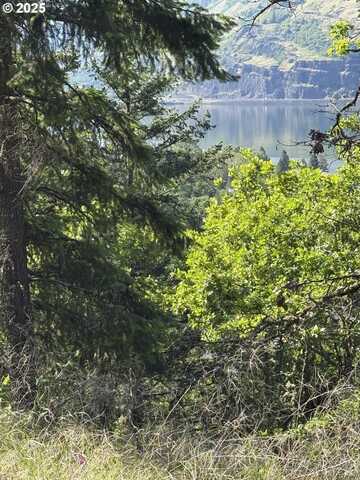 Coyote CT, Mosier, OR 97040