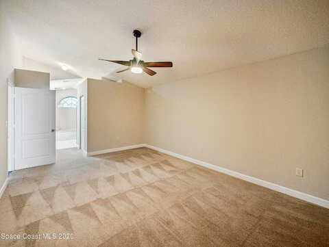 Tortoise, MELBOURNE, FL 32935