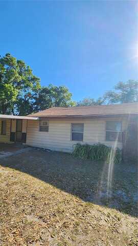 Ball, PLANT CITY, FL 33563