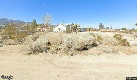 Pine Tree, PINON HILLS, CA 92372