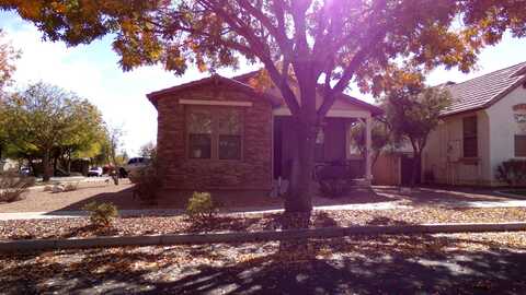 Aster, SURPRISE, AZ 85379