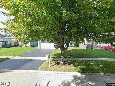 Chestnut, BOLINGBROOK, IL 60490