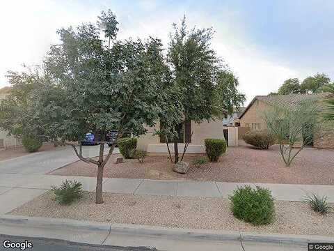 Reins, QUEEN CREEK, AZ 85142