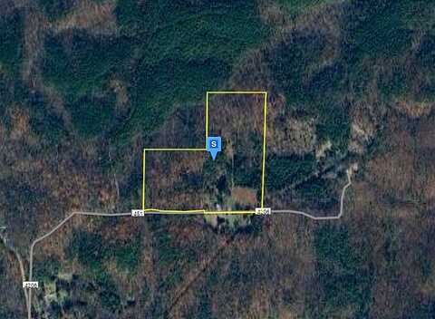 Patricia, MORRISTOWN, TN 37814