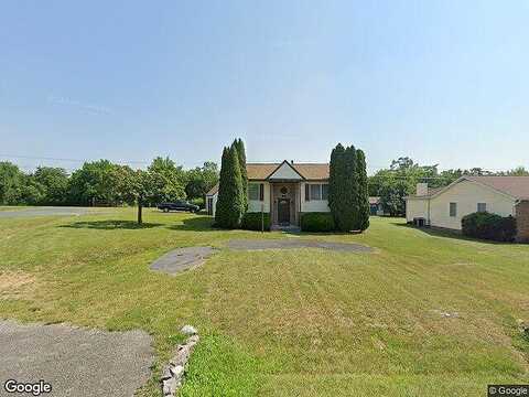 Bluebird, STEPHENS CITY, VA 22655