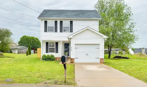 Nugget, MURFREESBORO, TN 37130