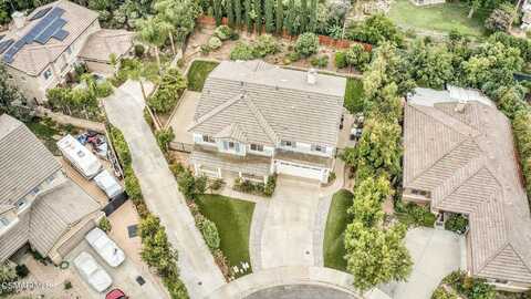 China Fir, SIMI VALLEY, CA 93065