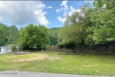 Main, OAKDALE, TN 37829
