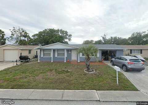 Chauncy, HOLIDAY, FL 34691