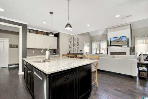 Drew, TRUSSVILLE, AL 35173