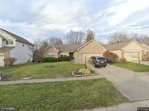 Pineneedle, MAINEVILLE, OH 45039