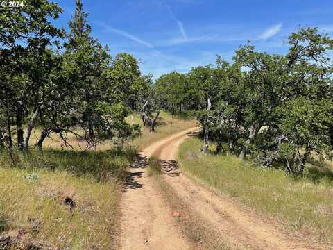 19 COLUMBIA HILLS LN, Goldendale, WA 98620