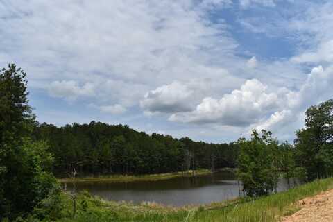 4217 BEAUTIFUL POND Park, North Augusta, SC 29860