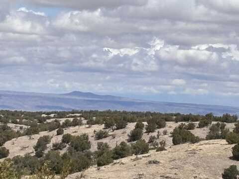 Lot 56 Pinon Springs Ranch, Magdalena, NM 87825