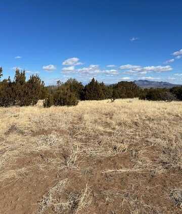 Kings Meadow Road, Sandia Park, NM 87047