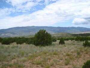 undefined, Tijeras, NM 87059
