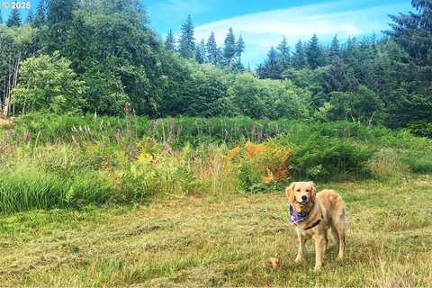 South Valley RD, Naselle, WA 98638