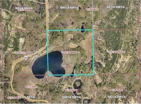 Tbd County Road 89, Park Rapids, MN 56470