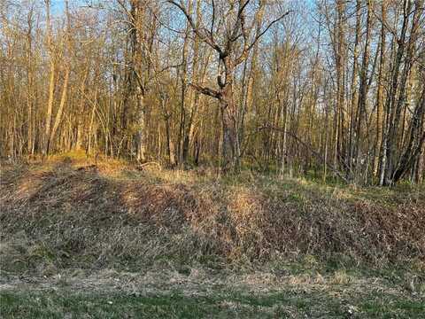 184th 184th St, Shamrock Twp, MN 55760