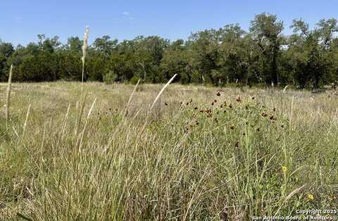 288 Pioneer Crest, New Braunfels, TX 78132