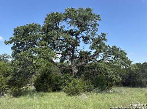 1483 Trailhead, New Braunfels, TX 78132