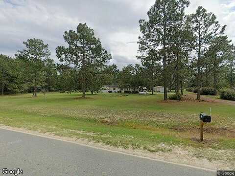 Chapman Plantation, JESUP, GA 31545