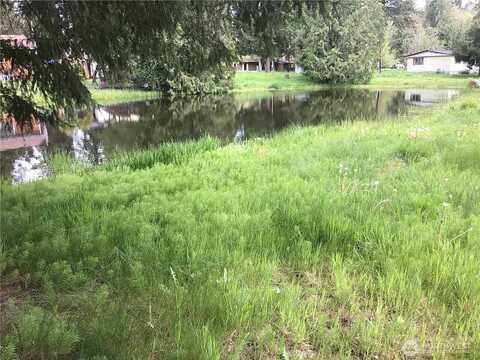 341St Street Ct S #29, Roy, WA 98580
