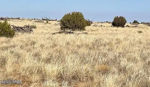 Glasglow Drive, Snowflake, AZ 85937