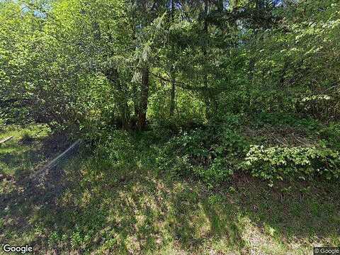 Waddell Creek, OLYMPIA, WA 98512