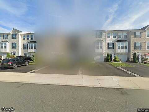 Tulip, GILBERTSVILLE, PA 19525