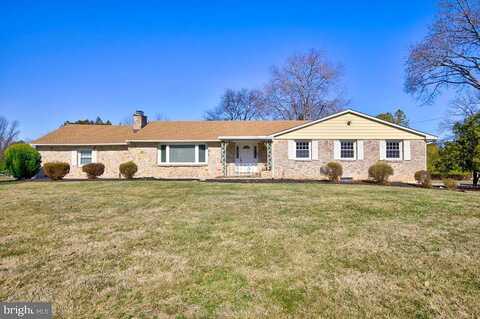 Hemlock, NORRISTOWN, PA 19401