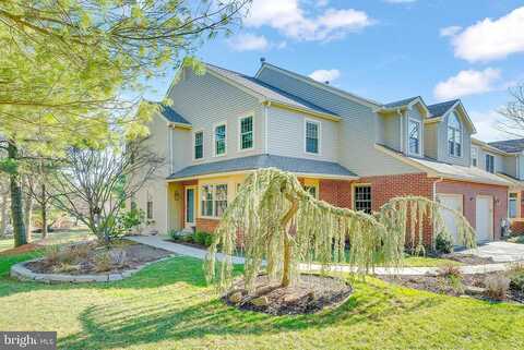 Conway, AMBLER, PA 19002