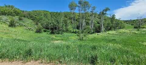 26000 OLD SPRINGS ROAD, Oak Creek, CO 80467