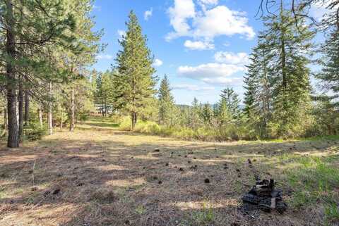 12703 S Alpine Fern Ln, Rockford, WA 99030