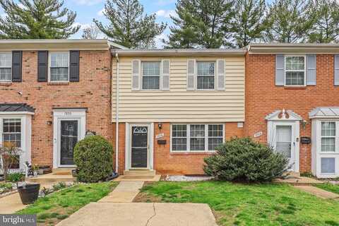 Snead, FALLS CHURCH, VA 22043