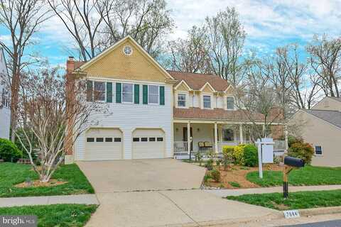Vervain, SPRINGFIELD, VA 22152