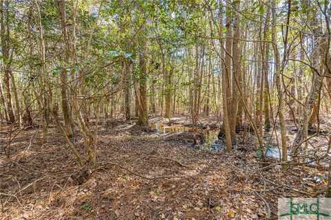 0 Ralph Rahn Road, Rincon, GA 31326