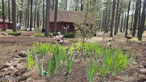 Friar Tuck, WILLIAMS, AZ 86046