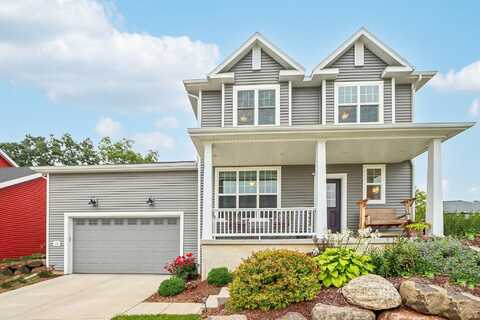 Sugar Maple, VERONA, WI 53593