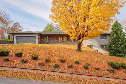 Chestnut, PEARISBURG, VA 24134