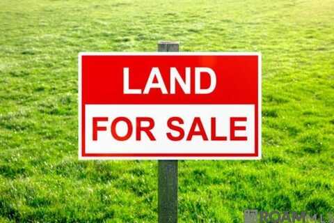 Lot B-4 Perrilloux Rd, Livingston, LA 70754