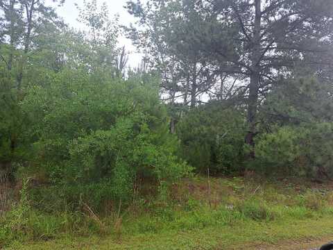 01 Big Phil's Court, Santee, SC 29142