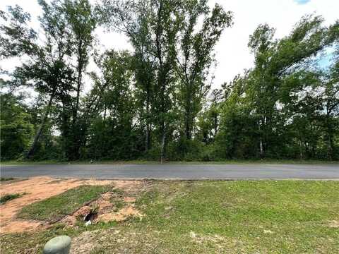 317 Rosetta Avenue, Foley, AL 36535